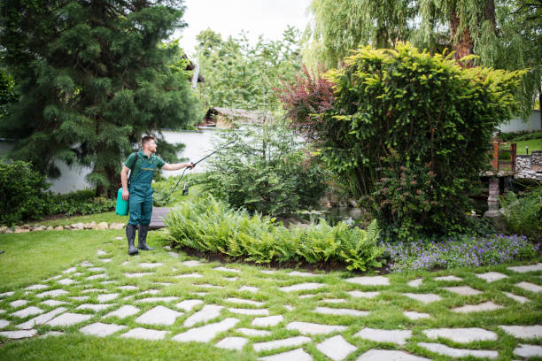 Lawn Watering Services in Spring Lake, MI